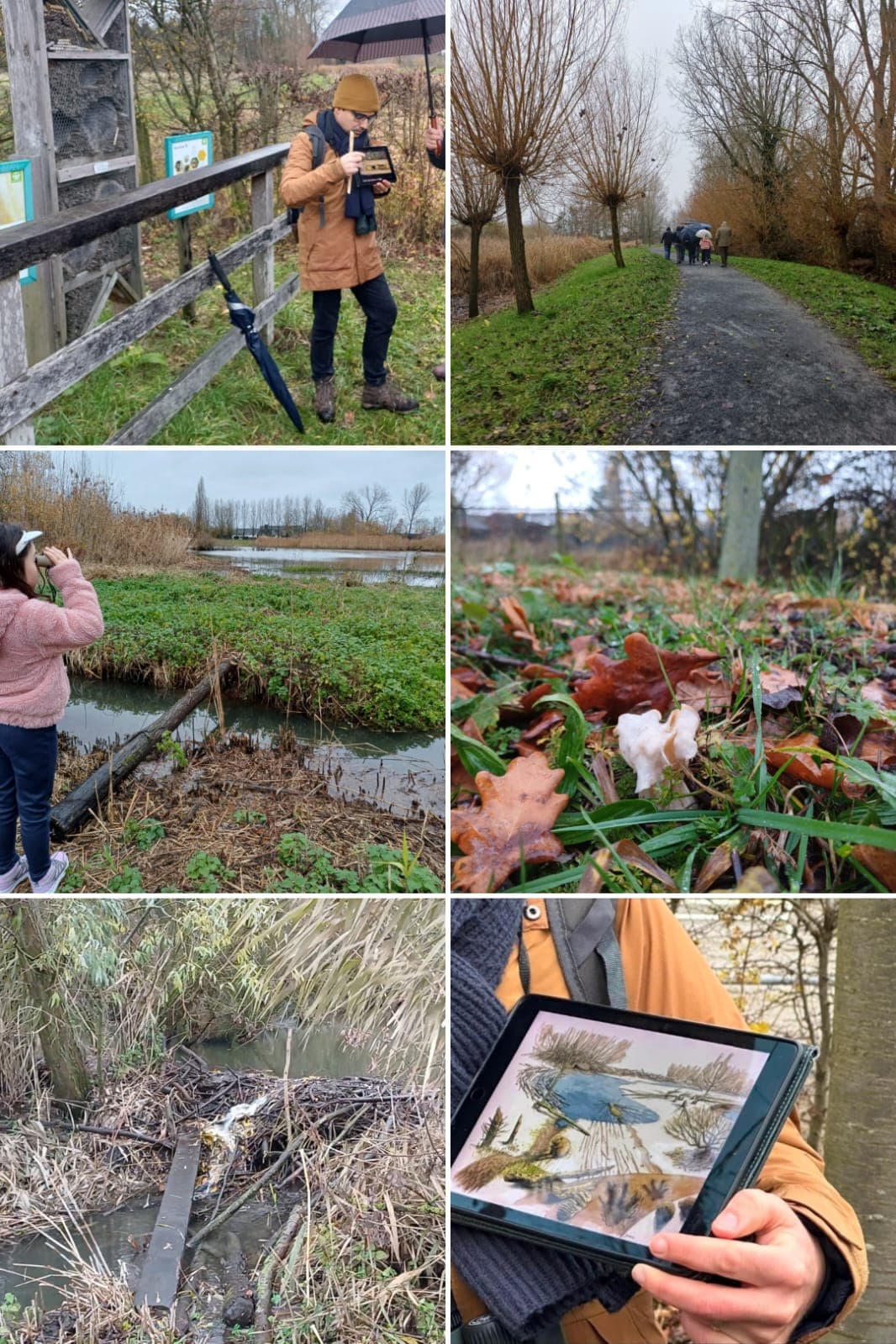 Excursie voor gezinnen "Het geheim van de Jutse Plassen"