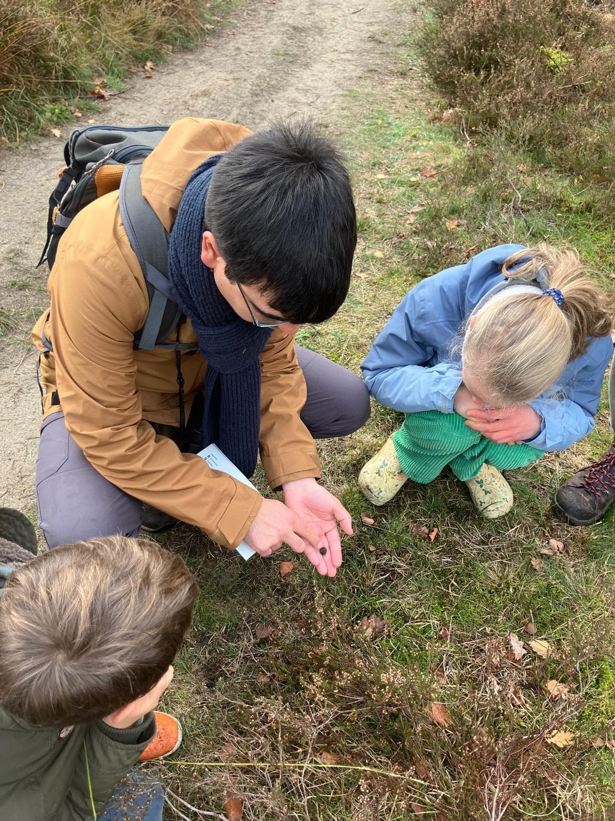 Uitwerpselen van ree (Workshop Spoorzoeken voor beginnertjes)
